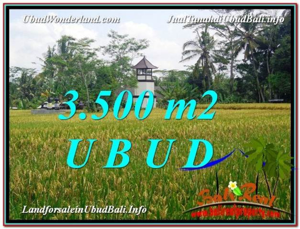 Magnificent PROPERTY 3,500 m2 LAND FOR SALE IN Ubud Tegalalang TJUB596