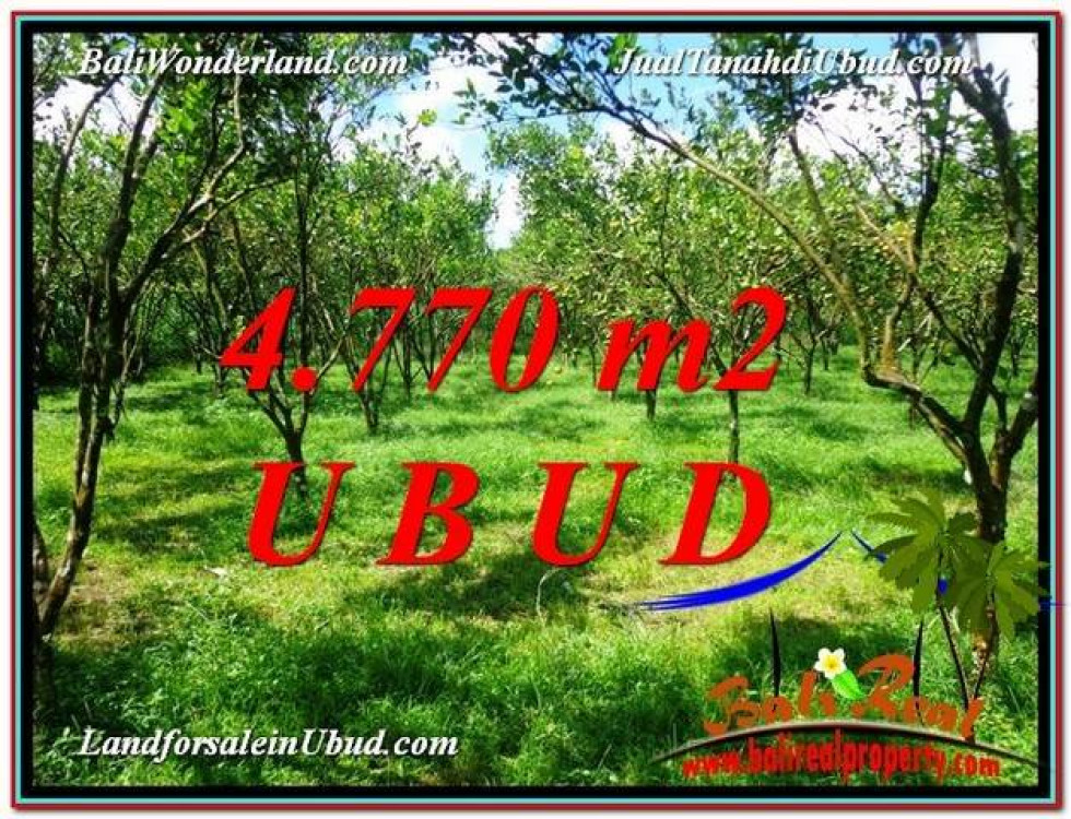 Beautiful PROPERTY 4,770 m2 LAND IN Ubud Tegalalang FOR SALE TJUB598