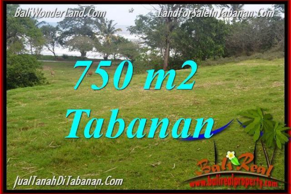 Exotic PROPERTY TABANAN LAND FOR SALE TJTB346