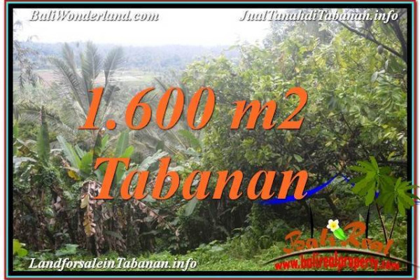 Magnificent 1,600 m2 LAND FOR SALE IN Tabanan Selemadeg TJTB348