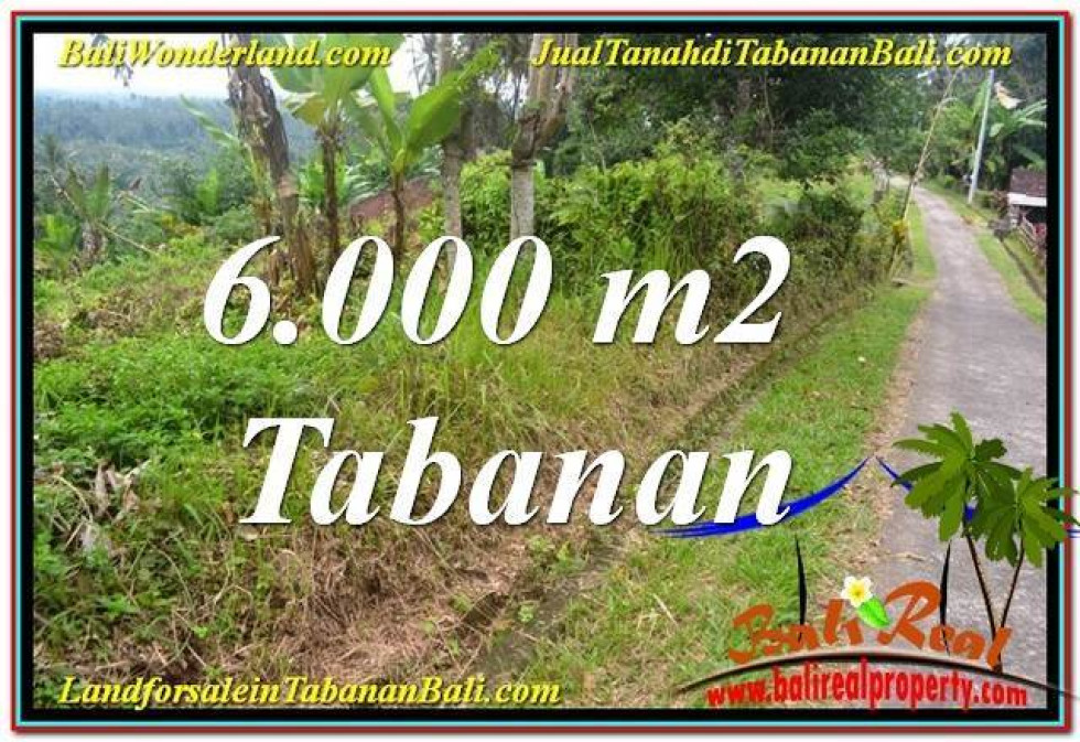 FOR SALE Beautiful LAND IN Tabanan Selemadeg TJTB349