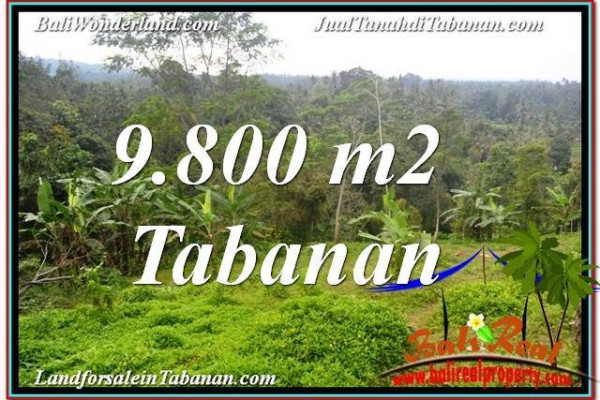 Magnificent 9,800 m2 LAND SALE IN TABANAN TJTB350