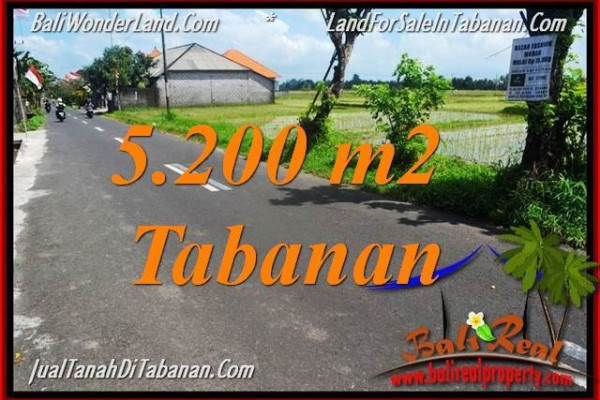 Magnificent PROPERTY LAND SALE IN TABANAN TJTB351
