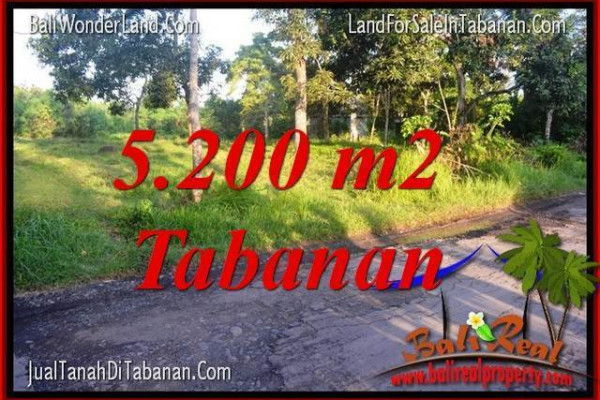 Affordable LAND IN Tabanan Selemadeg FOR SALE TJTB334