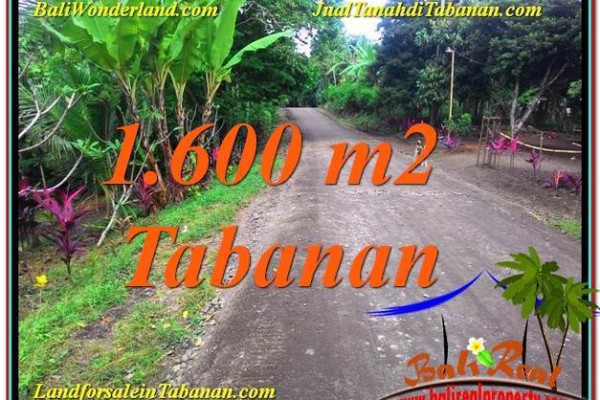 Magnificent LAND FOR SALE IN Tabanan Selemadeg TJTB337