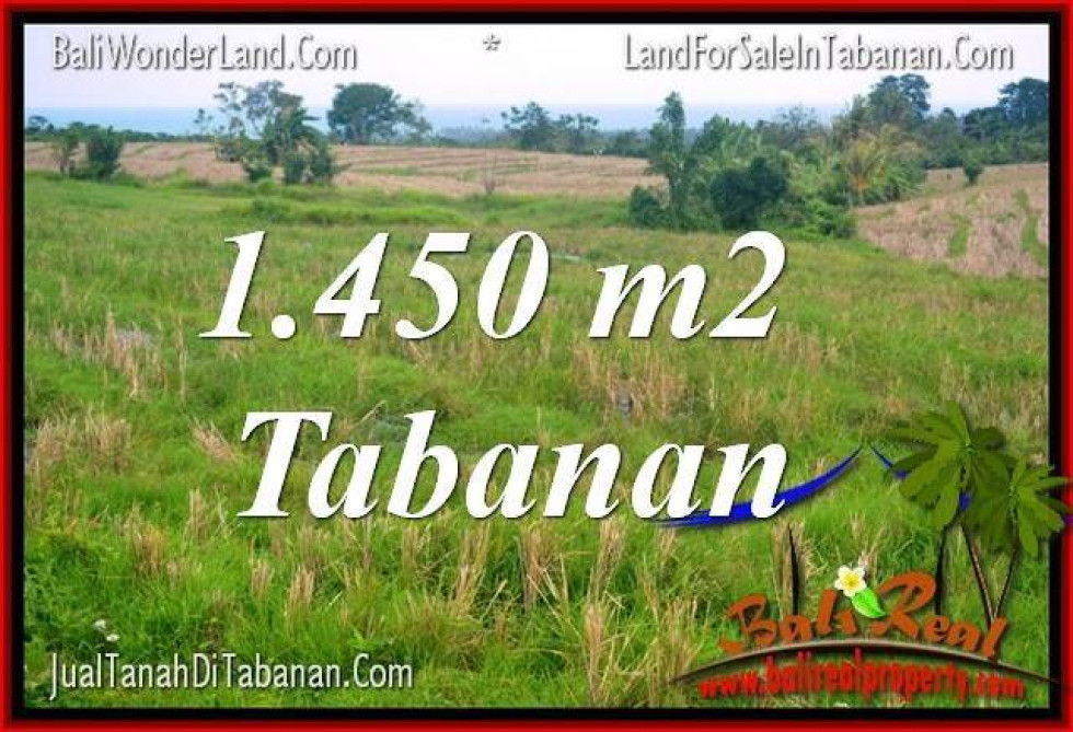 Magnificent 1,450 m2 LAND FOR SALE IN Tabanan Selemadeg TJTB343