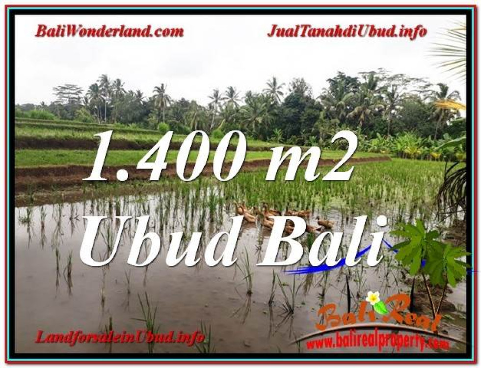 Beautiful PROPERTY 1,400 m2 LAND SALE IN Ubud Payangan TJUB615