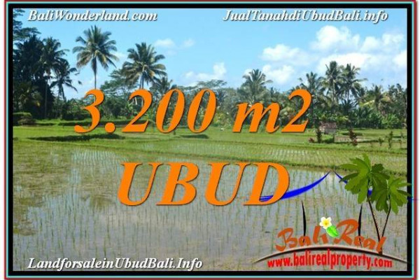 Magnificent PROPERTY 3,200 m2 LAND FOR SALE IN Ubud Payangan TJUB628