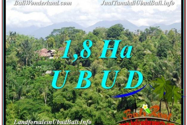 Beautiful 18,000 m2 LAND FOR SALE IN Ubud Tegalalang TJUB589