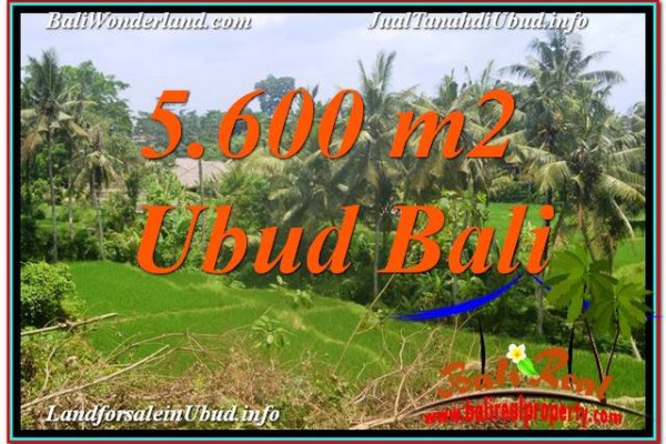 Beautiful PROPERTY 5,600 m2 LAND IN UBUD FOR SALE TJUB636