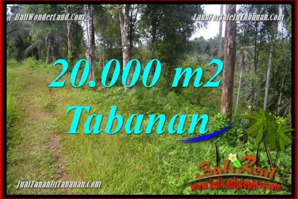 FOR SALE Beautiful 20,000 m2 LAND IN TABANAN TJTB365