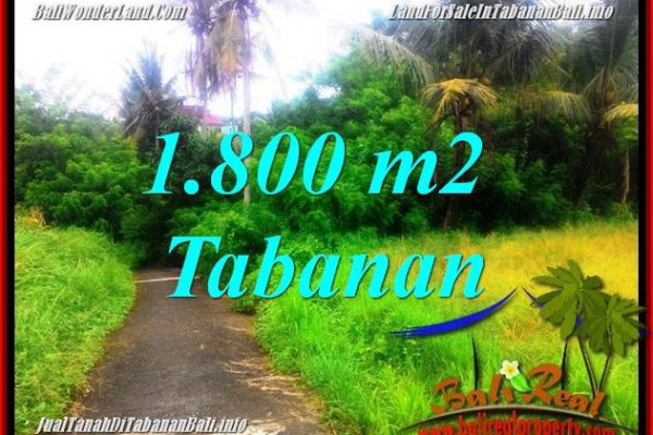 FOR SALE Affordable LAND IN TABANAN BALI TJTB357