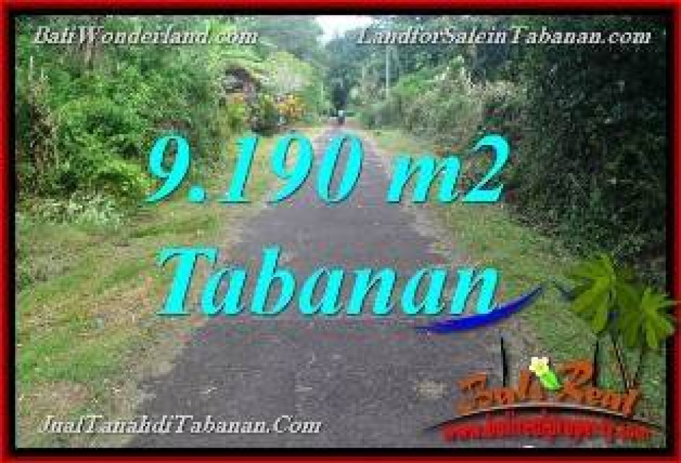Exotic PROPERTY Tabanan Selemadeg BALI 9,190 m2 LAND FOR SALE TJTB368