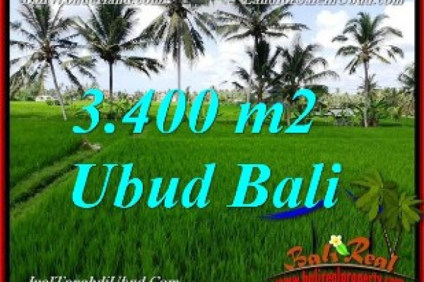 Magnificent PROPERTY 3,400 m2 LAND IN UBUD BALI FOR SALE TJUB656