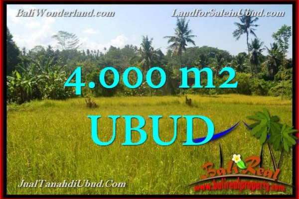 Magnificent PROPERTY 4,000 m2 LAND SALE IN UBUD TJUB661