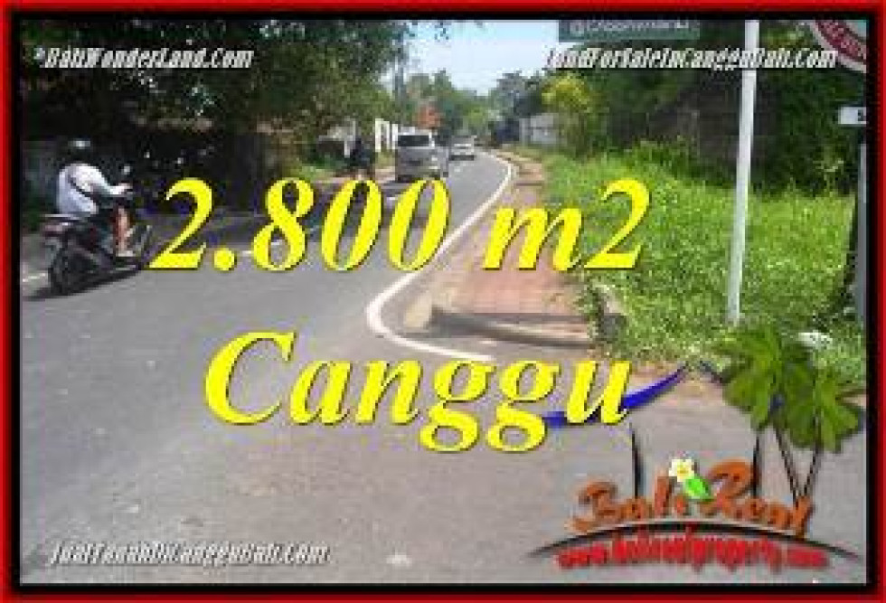 FOR SALE Exotic PROPERTY 2,800 m2 LAND IN CANGGU BALI TJCG223