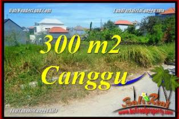 FOR SALE Affordable PROPERTY LAND IN CANGGU BRAWA BALI TJCG225