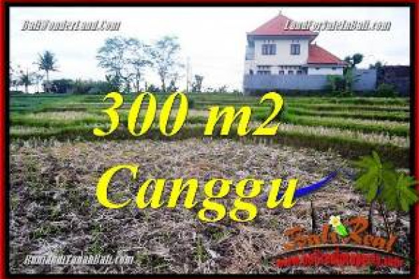 Affordable CANGGU 300 m2 LAND FOR SALE TJCG230