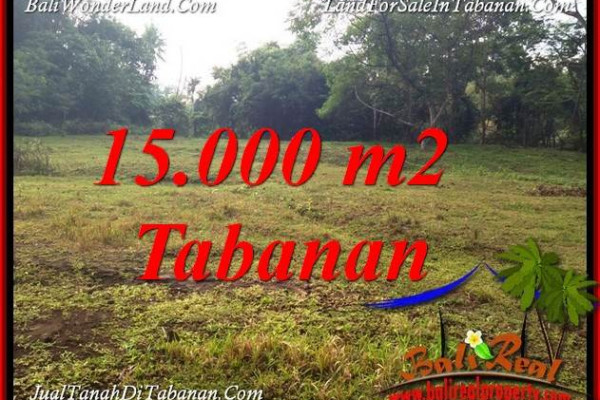 Affordable PROPERTY LAND FOR SALE IN TABANAN BALI TJTB381