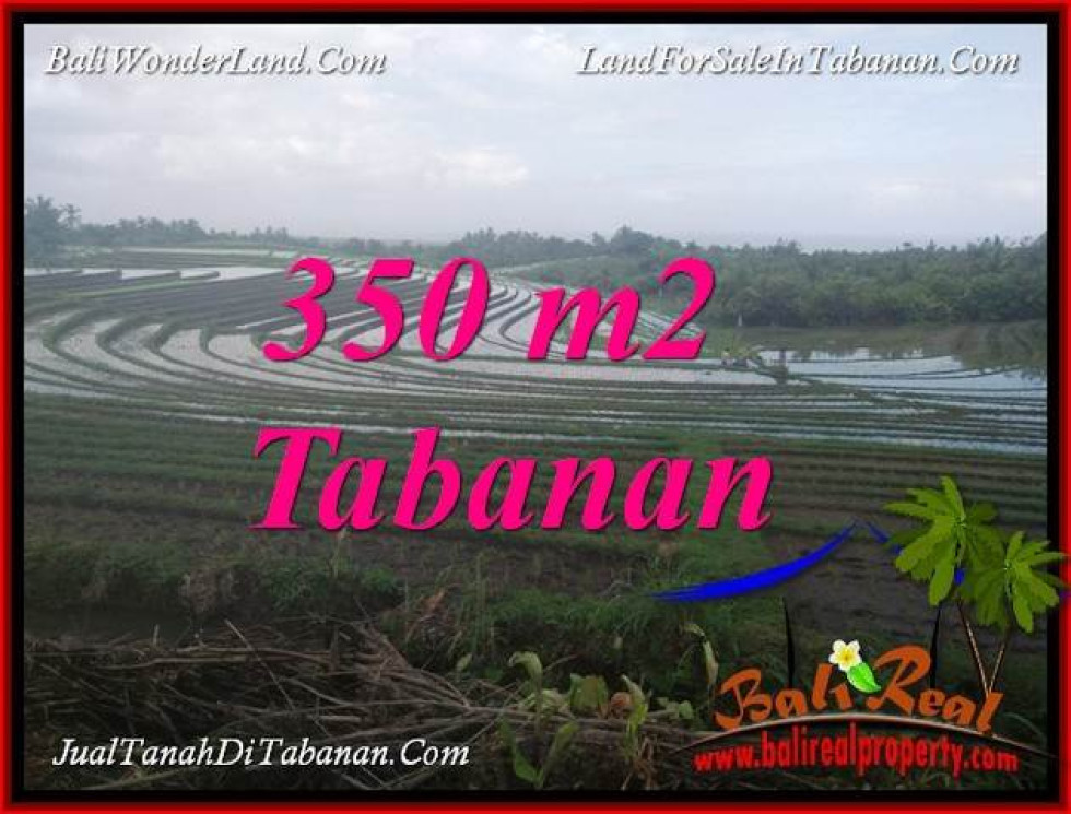 LAND FOR SALE IN TABANAN BALI TJTB386