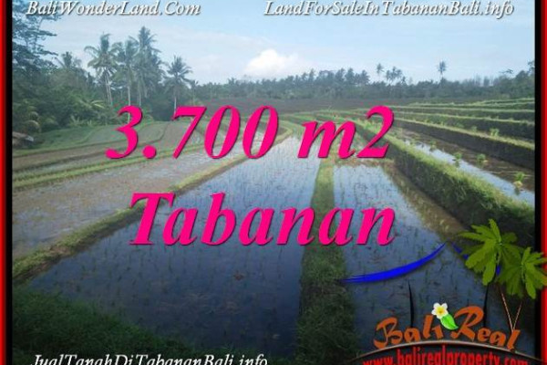 LAND FOR SALE IN TABANAN TJTB388