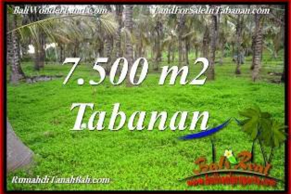 Magnificent PROPERTY LAND IN TABANAN BALI FOR SALE TJTB390
