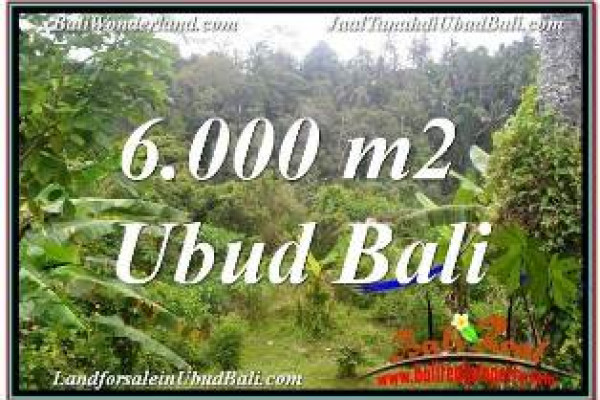 Affordable 6,000 m2 LAND IN UBUD BALI FOR SALE TJUB682