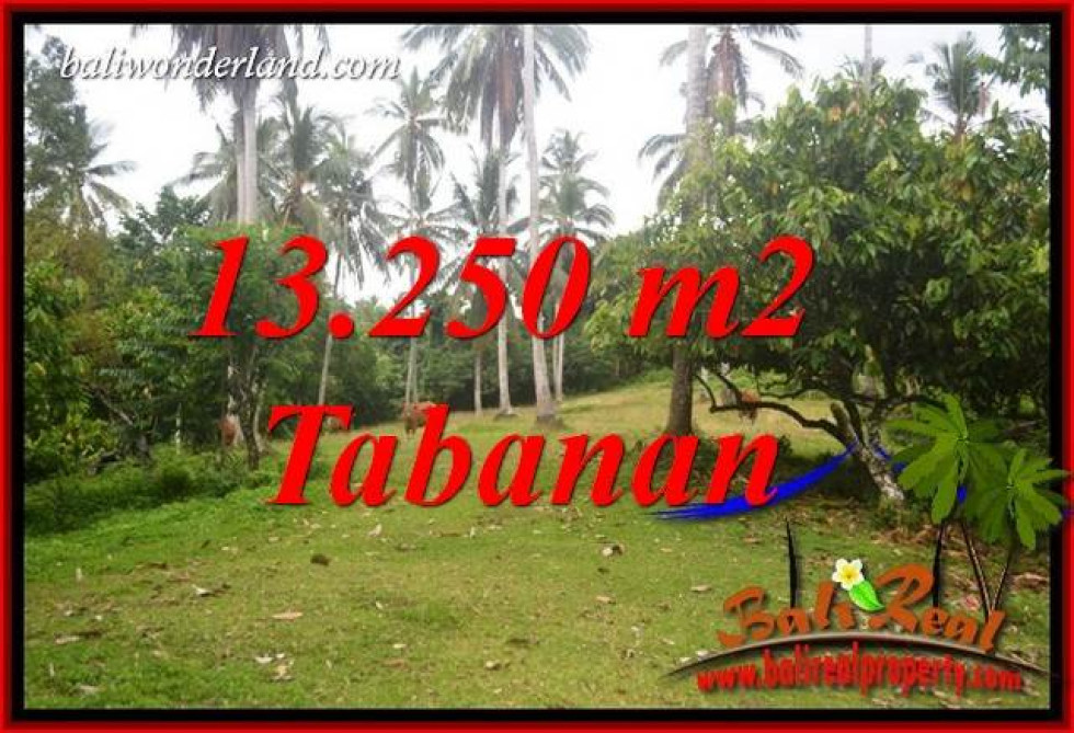 Exotic Property Tabanan Bali Land for sale TJTB403