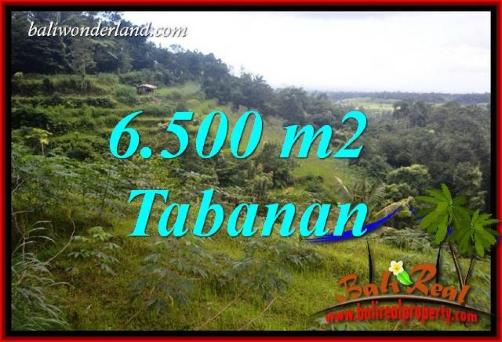 Affordable 6,500 m2 Land for sale in Tabanan Penebel Bali TJTB416