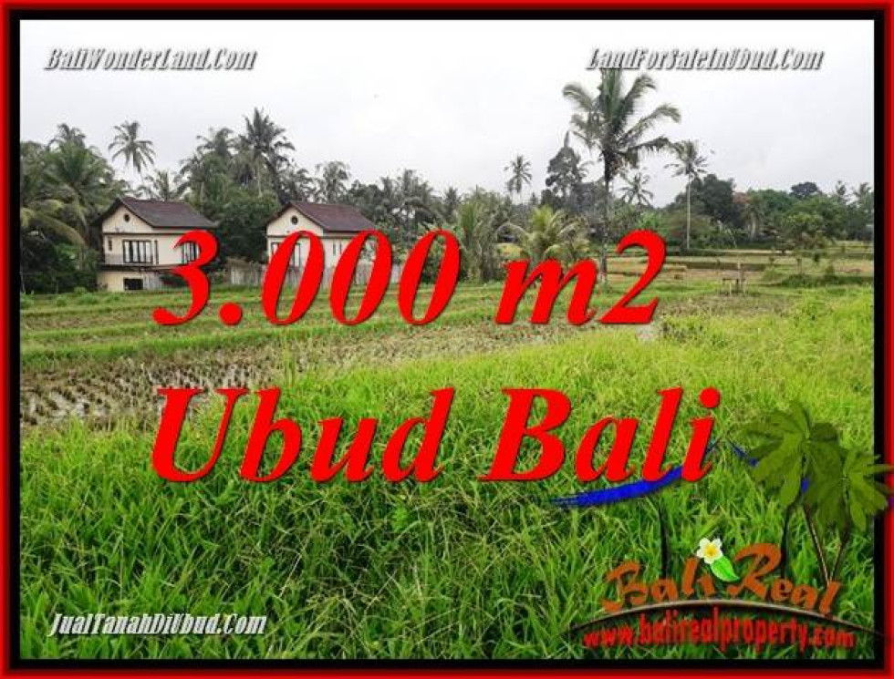 Ubud Tegalalang Bali Land for sale TJUB698