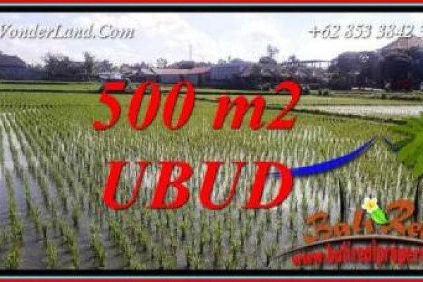 FOR sale Beautiful Property Land in Ubud Bali TJUB723