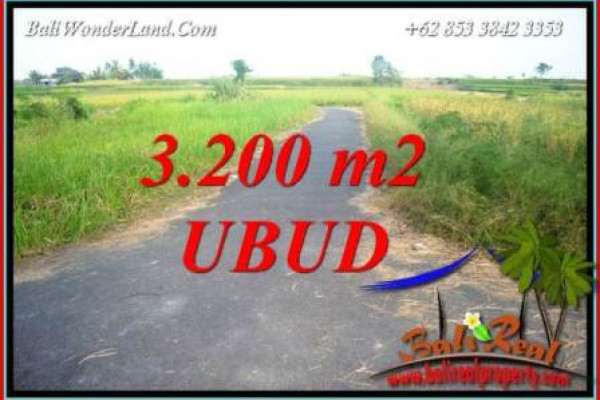 Beautiful 3,200 m2 Land for sale in Ubud Singapadu Bali TJUB736