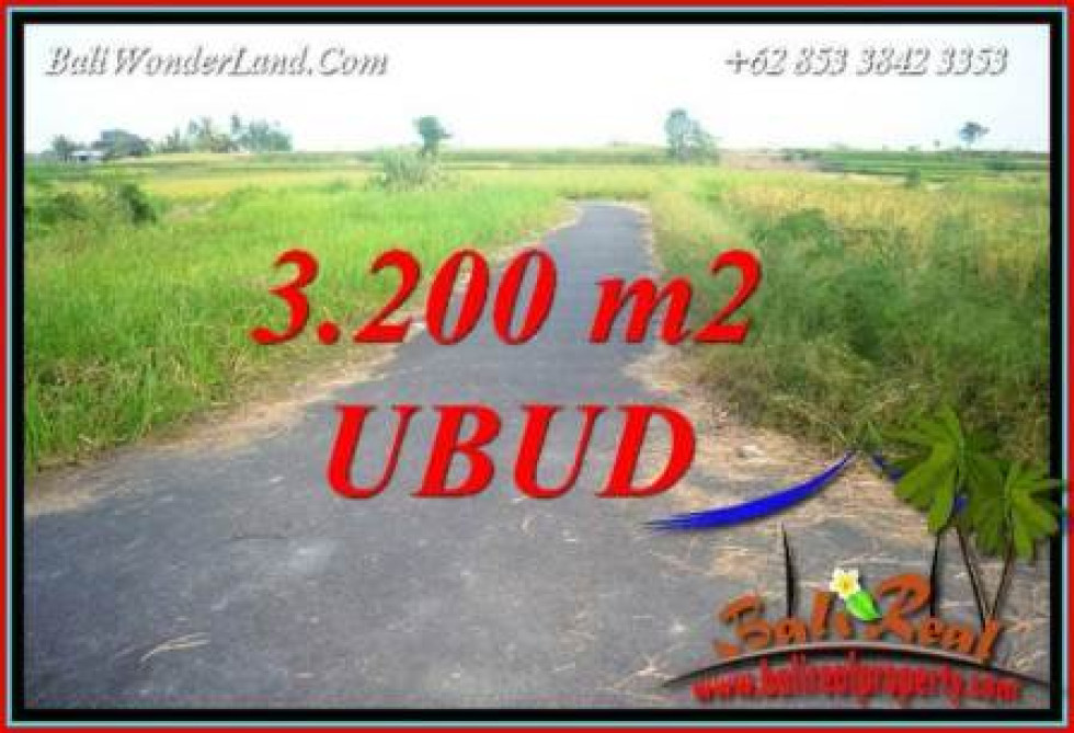 Magnificent Property Land for sale in Ubud Bali TJUB736