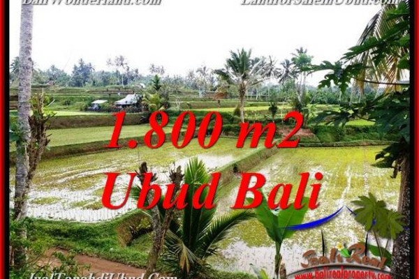 FOR SALE Beautiful 1,800 m2 LAND IN UBUD BALI TJUB769