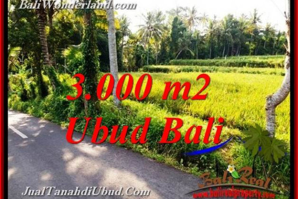 Beautiful PROPERTY LAND IN UBUD BALI FOR SALE TJUB771