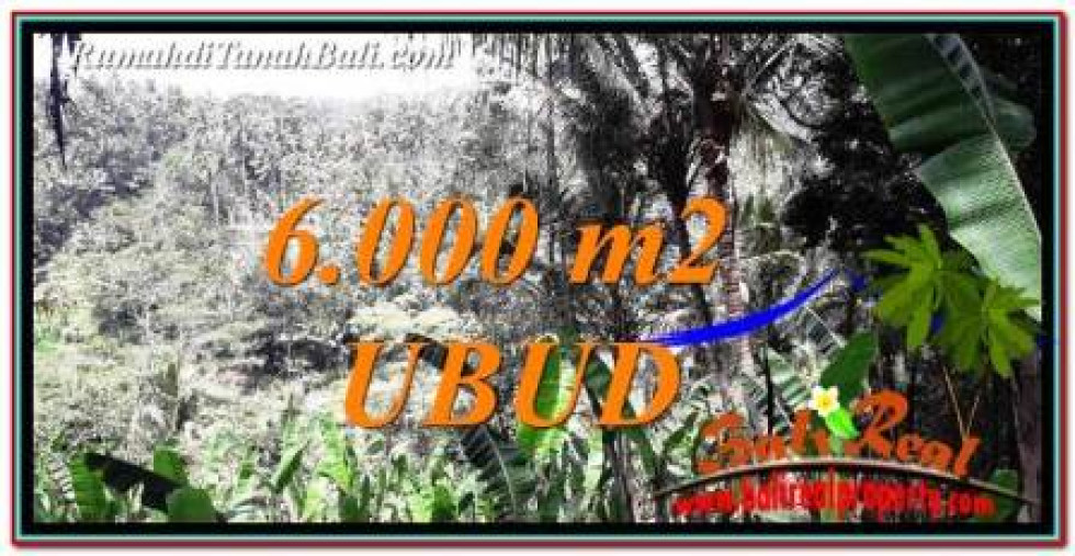 Exotic PROPERTY LAND IN UBUD BALI FOR SALE TJUB750