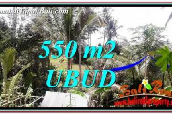 Beautiful 550 m2 LAND SALE IN Ubud Pejeng TJUB751