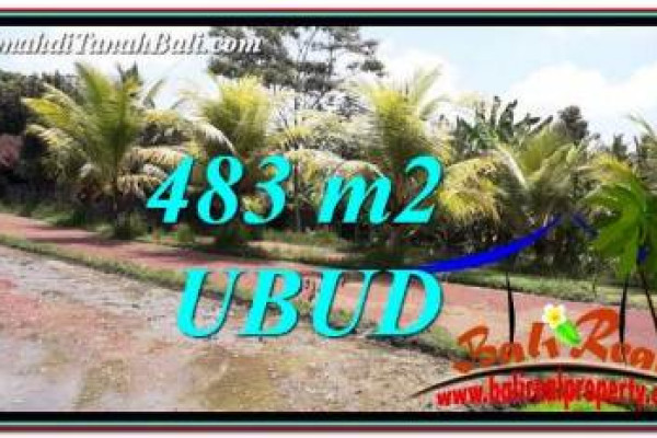 Beautiful PROPERTY 483 m2 LAND SALE IN Ubud Pejeng TJUB752