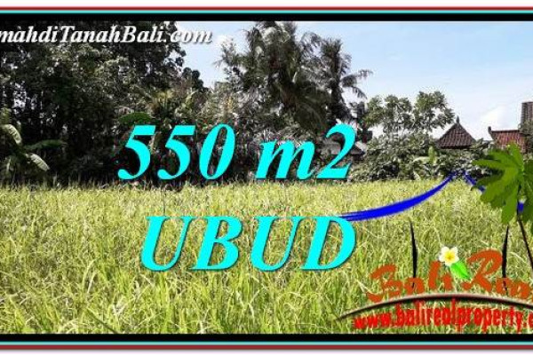 Beautiful PROPERTY 550 m2 LAND IN Sentral Ubud BALI FOR SALE TJUB766