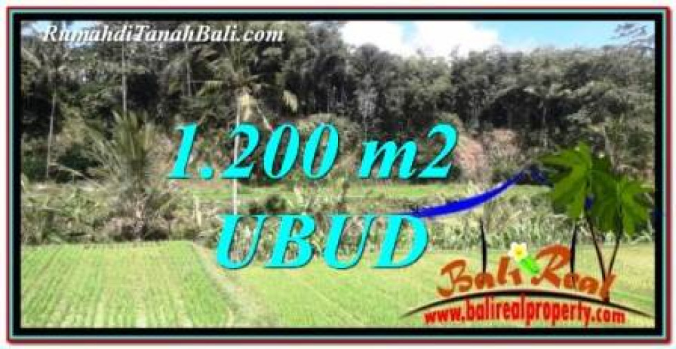Magnificent 1,200 m2 LAND SALE IN UBUD BALI TJUB746