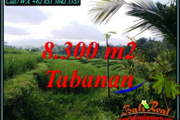 Magnificent TABANAN BALI LAND FOR SALE TJTB501