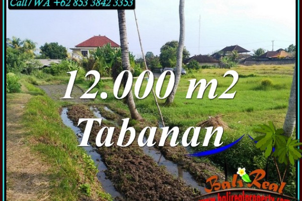 Affordable LAND FOR SALE IN TABANAN BALI TJTB502