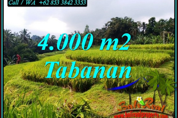 FOR SALE 4,000 m2 LAND IN PENEBEL TABANAN TJTB499A