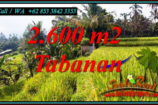 Magnificent PROPERTY 2,600 m2 LAND FOR SALE IN TABANAN TJTB499B