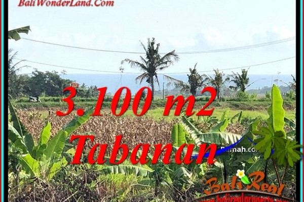Magnificent PROPERTY 3,100 m2 LAND FOR SALE IN TABANAN TJTB485