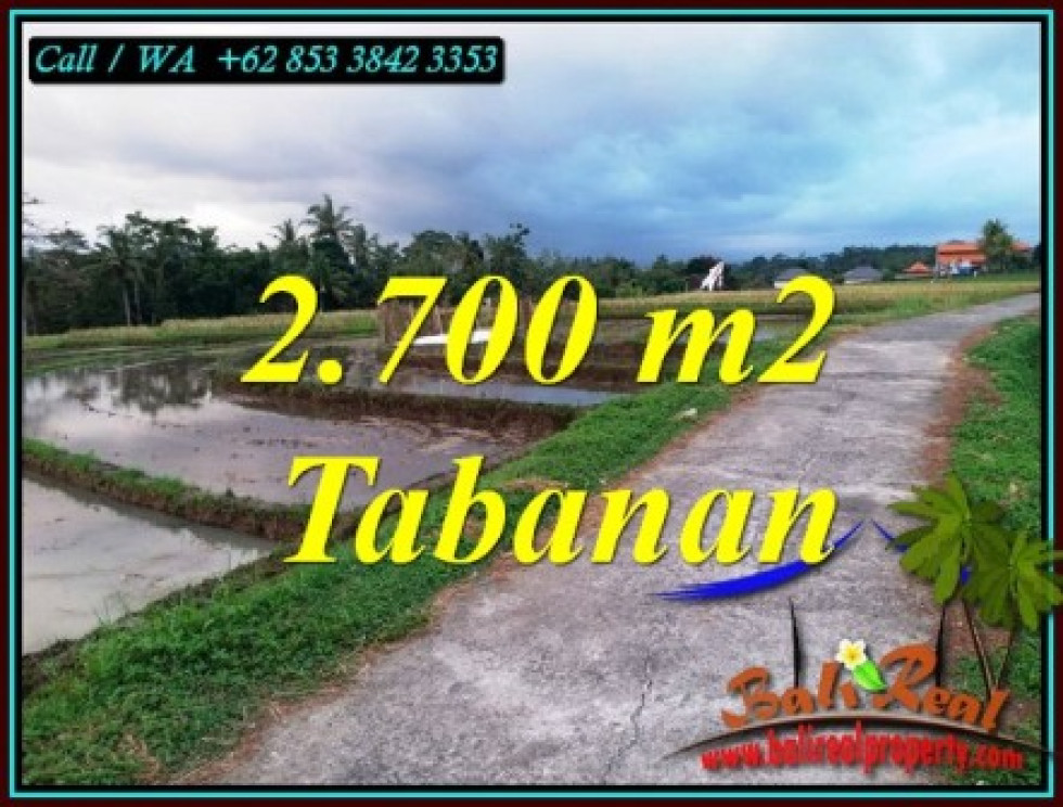Magnificent 2,700 m2 LAND IN SELEMADEG TABANAN BALI FOR SALE TJTB460
