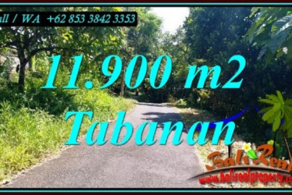FOR SALE Beautiful LAND IN TABANAN BALI TJTB474