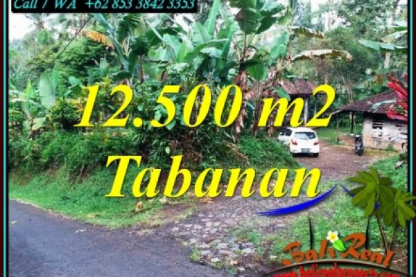 Magnificent 12,000 m2 LAND FOR SALE IN TABANAN TJTB475