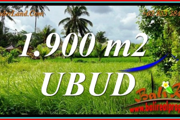 FOR SALE Magnificent LAND in UBUD BALI TJUB811