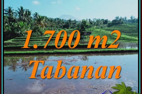 Beautiful 1,700 m2 LAND SALE IN SELEMADEG TABANAN BALI TJTB450